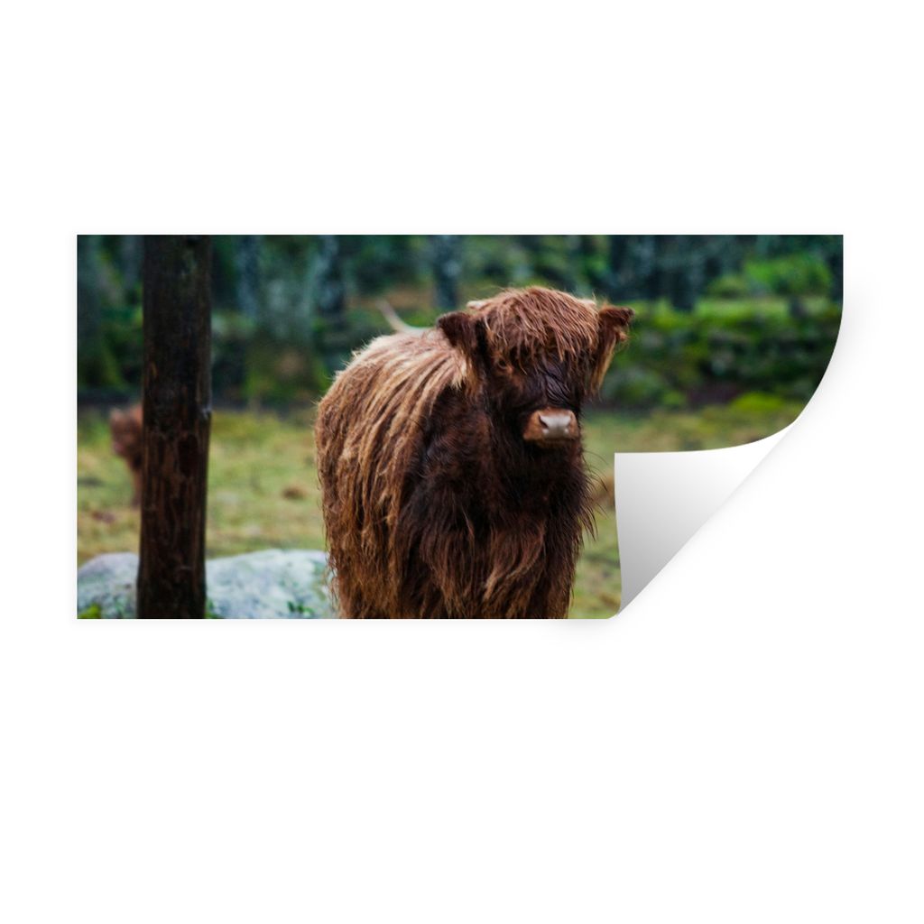 MuchoWow Wandtattoo Wandsticker Wandaufkleber Schottischer Hochländer - Wald - Moos 40x20 cm Selbstklebend und Repositionierbar - Aufkleber