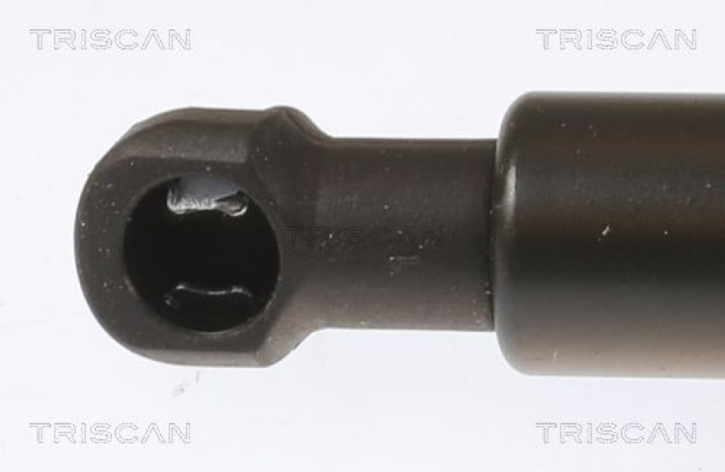 TRISCAN Gasfeder, Koffer-/Laderaum Links Rechts 8710 28251