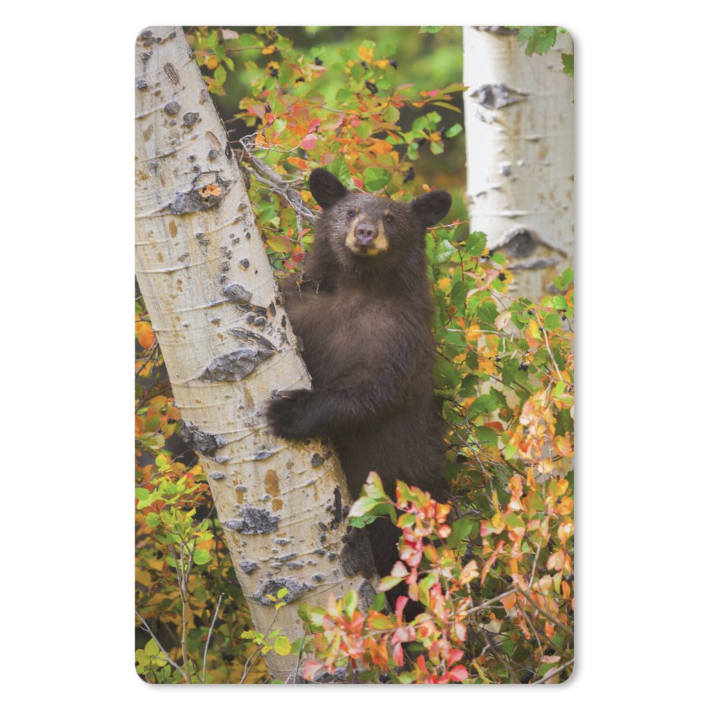 MuchoWow Mauspad Mousepad Bär - Baum - Klettern - Herbst 40x60 cm - Mousepads - Maus Mat - Pad - Mausunterlage - Schreibtisch Accesoire