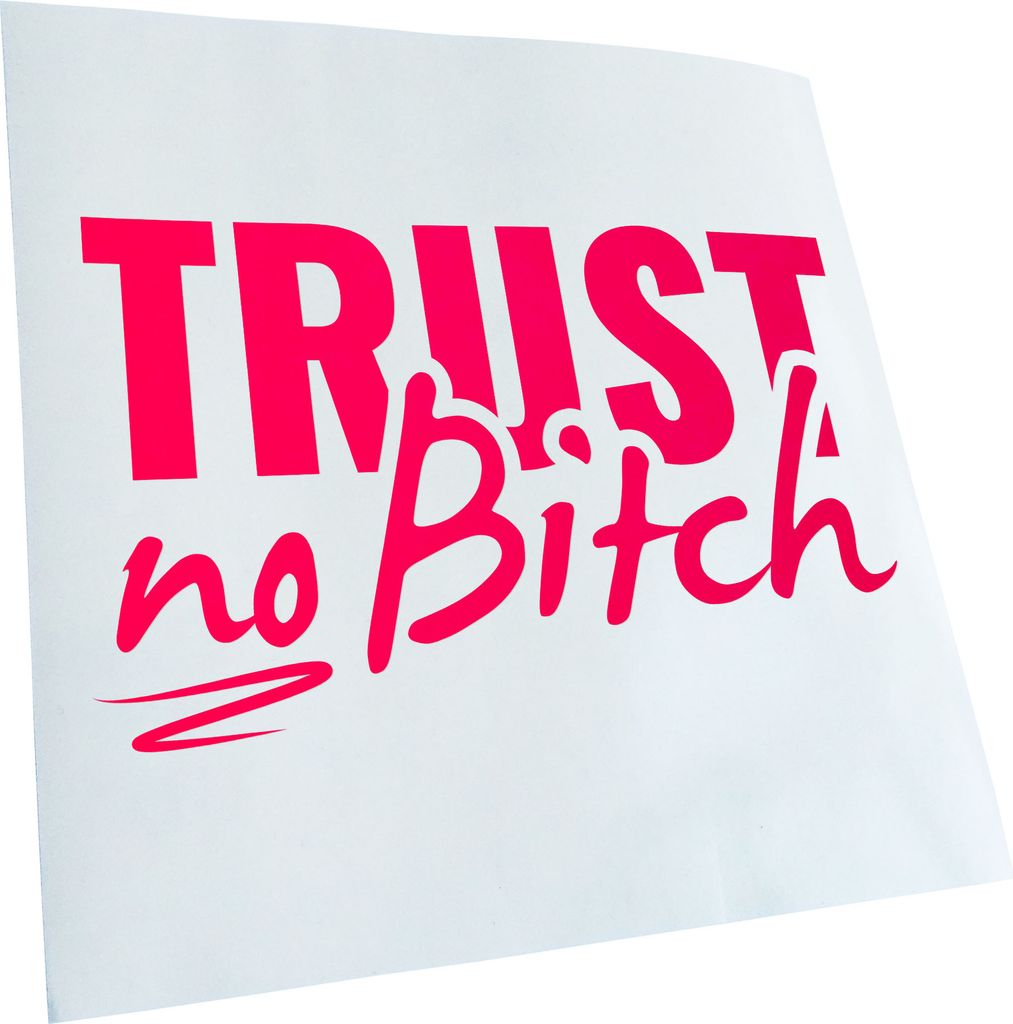 hauptsachebeklebt Kiwistar - Autoaufkleber - Trust no Bitch - Vertrau keiner Tussi Heckscheibe - Aufkleber für Auto Kfz Fahrrad, LKW, Truck Mofa