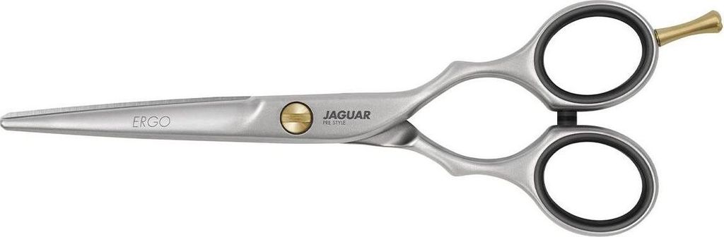 A pair of silver hair scissors with gold accents on a white background.
