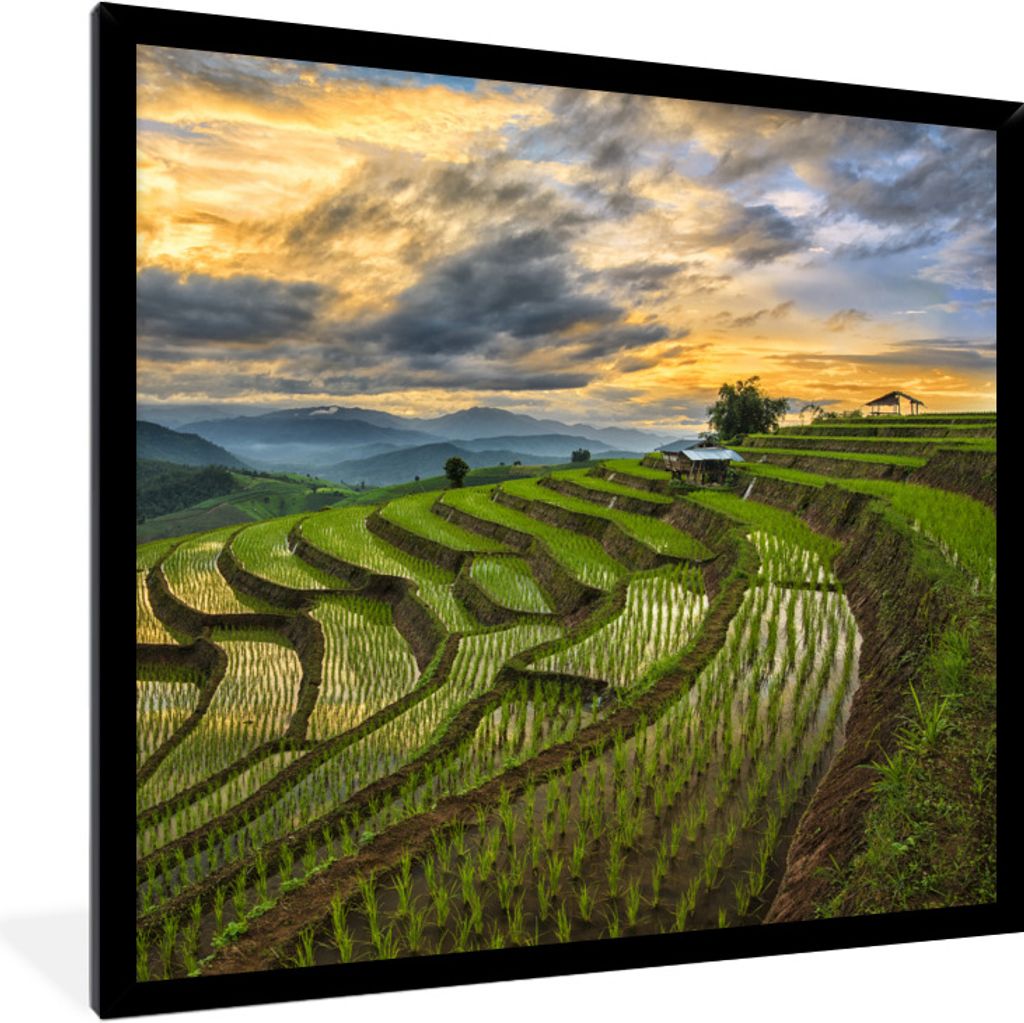 MuchoWow Gerahmtes Poster Ein schönes Wolkenfeld über den Reisfeldern Thailands 40x40 cm - Poster mit Schwarzem Bilderrahmen Wandposter Rahmen ...