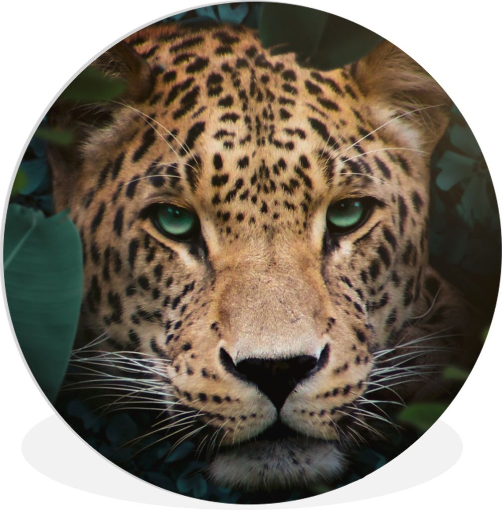 MuchoWow - Wand Kreis - Das Schlafzimmer - Die Bilder - Wandmalerei - Kunst für das Haus - das Plastik