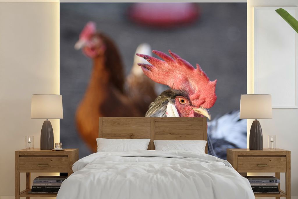 MuchoWow Fototapete für Wohnzimmer oder Schlafzimmer Wandtapete Vinyl Motivtapete Roter Hahnkamm auf dem Kopf dieses Hahns - 300x300 cm - Wandde...