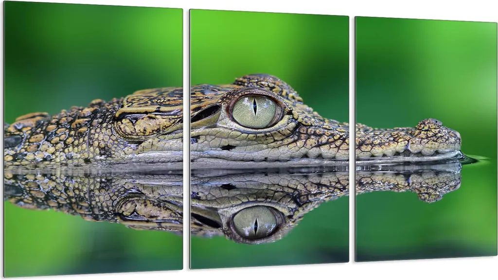 Copri Piano Induzione Vetro 3 Pezzi 30x52 Verde Aligatore Moderno