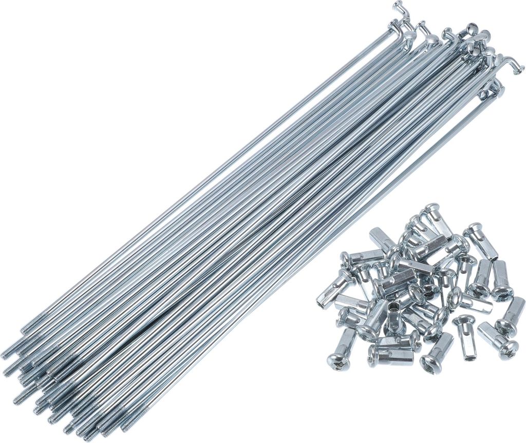 1 Satz Fahrradspeichen 12G 175mm Länge Fahrradrad Speichen Universal Kohlenstoffstahl Verzinkt Silber Ton Nippel