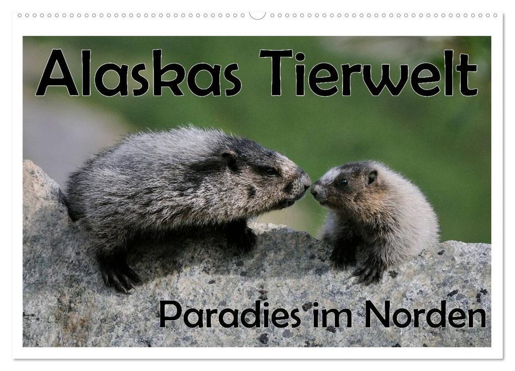 Alaskas Tierwelt - Paradies im Norden (Wandkalender 2027 DIN A2 quer), CALVENDO Monatskalender