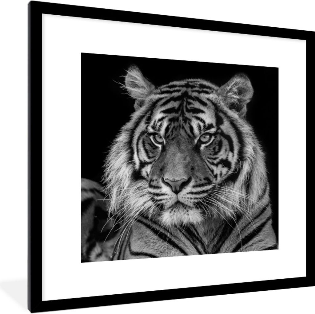 MuchoWow Gerahmtes Poster Tierprofil Sumatra-Tiger in Schwarz und Weiß 40x40 cm - Poster mit Schwarzem Bilderrahmen Wandposter Rahmen Foto Bilde...