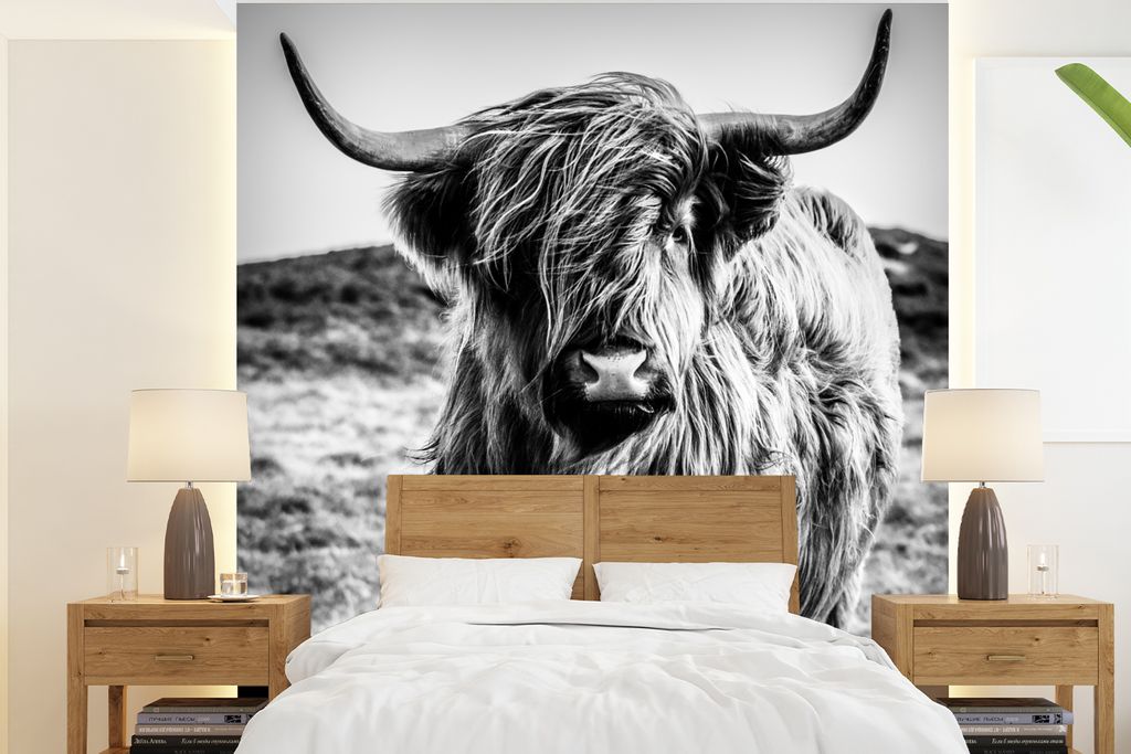 MuchoWow Fototapete für Wohnzimmer oder Schlafzimmer Wandtapete Vinyl Motivtapete Schottischer Highlander - Natur - Kuh - Schwarz - Weiß - 240x...