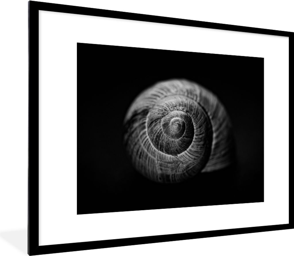 MuchoWow Gerahmtes Poster Schnecke - Tiere - Schwarz - Weiß - Schneckenhaus 80x60 cm - Poster mit Schwarzem Bilderrahmen Wandposter Rahmen Foto ...