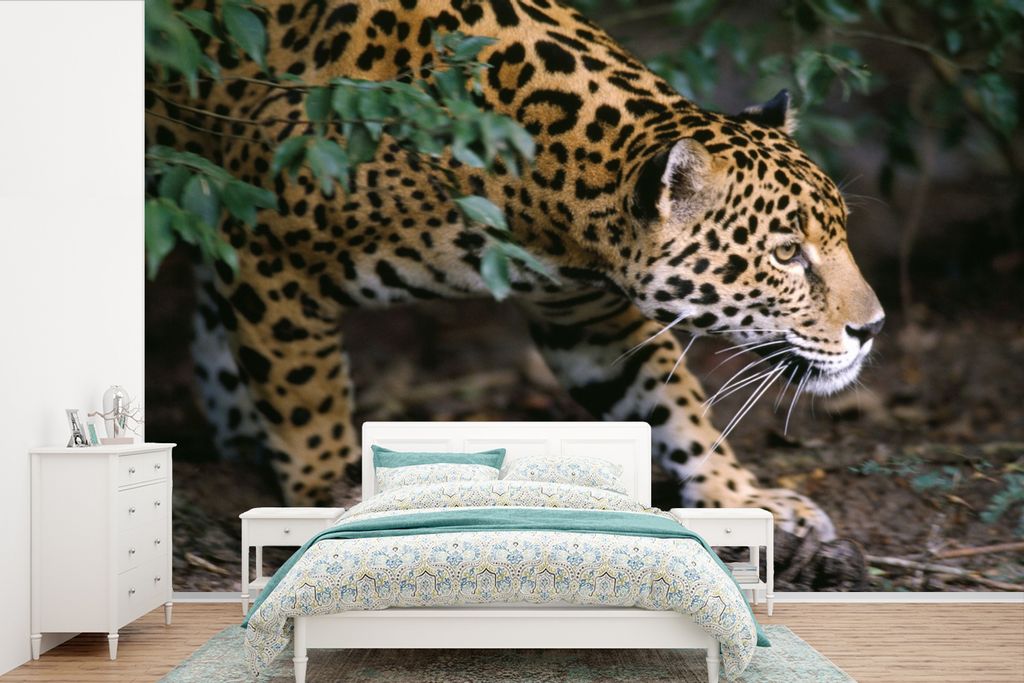 MuchoWow Fototapete für Wohnzimmer oder Schlafzimmer Wandtapete Vinyl Motivtapete Schleichender Jaguar im Wald - 525x350 cm - Das Hintergrundbild