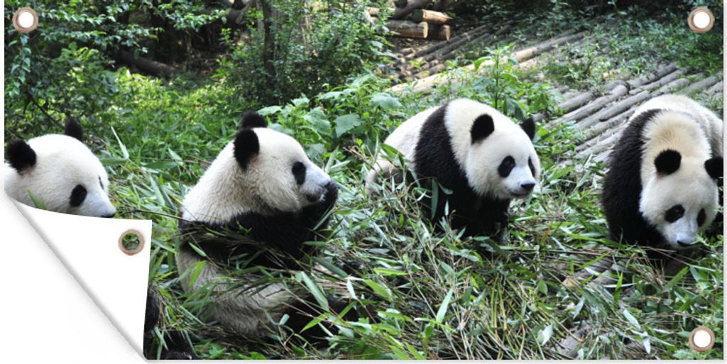 MuchoWow 60x30 cm Outdoor-Poster Gartendeko Sichtschutz Garten Poster für den Garten Panda - Natur - Bambus