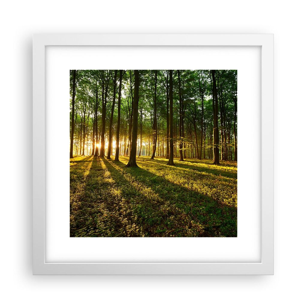 Gerahmtes Poster - Weißer Rahmen - Wald grün Sonnenstrahlen Natur - 30x30 cm - Wand Bild - Wanddeko - Wandbilder - Wandposter - Bilderrahmen - Bi...