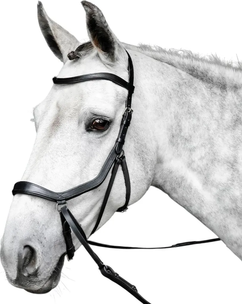 Bridon Horseware Micklem Competition sans Mors Noir Taille Large Cob