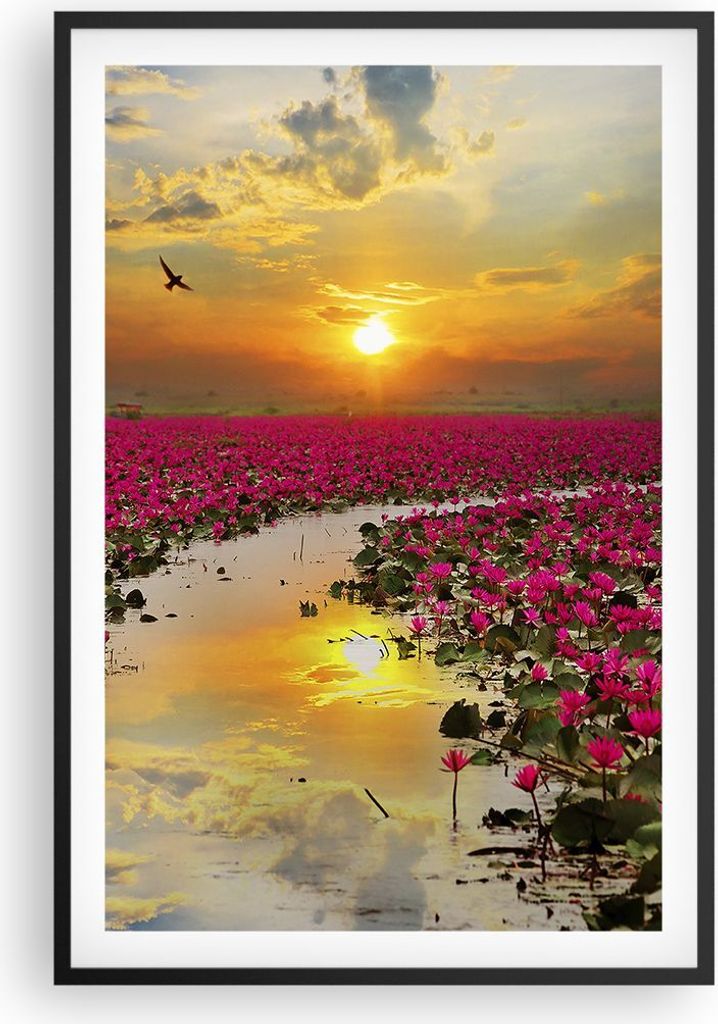Gerahmtes Poster - Schwarzer Rahmen - See Blumen - 61x91,5 cm - Wand Bild - Wanddeko - Wandbilder - Kunstposter - Wandposter - Bilderrahmen - Bilde...