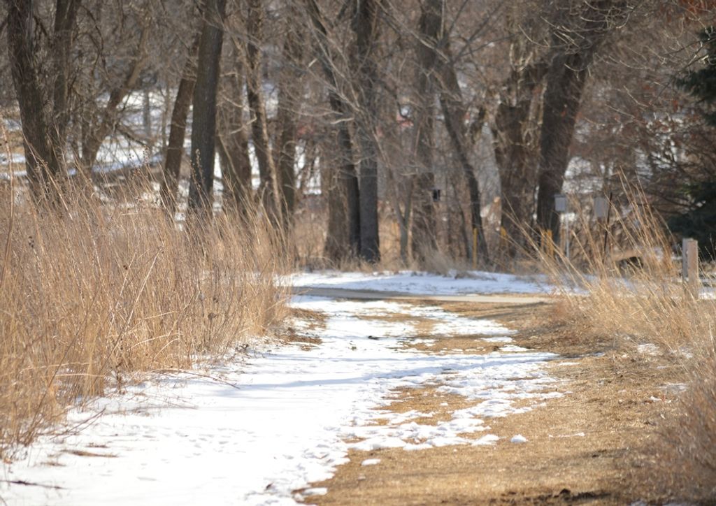 hansepuzzle 43995 - Waldweg Puzzle, 260 Teile, Reisen, 41,0 x 28,0cm mit hochwertiger Aufbewahrung, Kartonbox und wiederverschließbarem Beutel