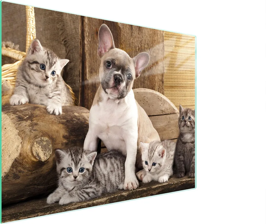 Tagliere in Vetro 52x40 Cane: Vetro Temperato Antigraffio Online