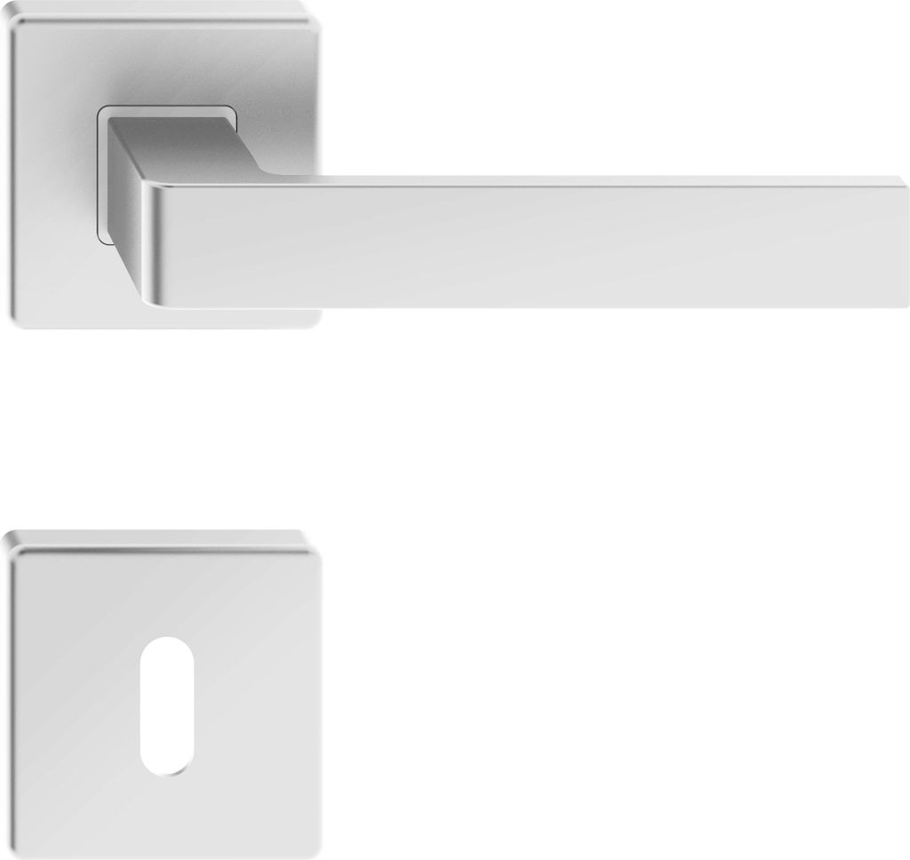 A silver door handle and keyplate are shown against a white background.