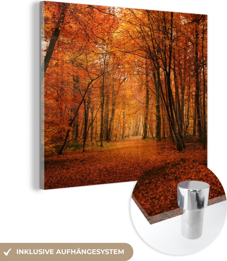 MuchoWow Glasbilder - Bilder auf Wandbild - Foto auf Glas Herbst - Rot - Wald 20x20 cm Wanddekoration aus Glas - Acrylglasbild - Acrylbilder - Bild...