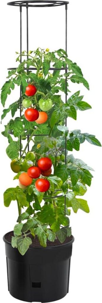 vidaXL Tomatentopf Anthrazit Ø39x150 cm Polypropylen