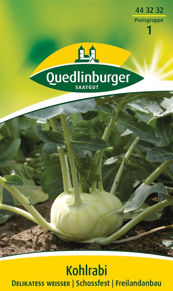 Quedlinburger Saatgut - Kohlrabi Delikateß weißer - Samen - Produktbild 