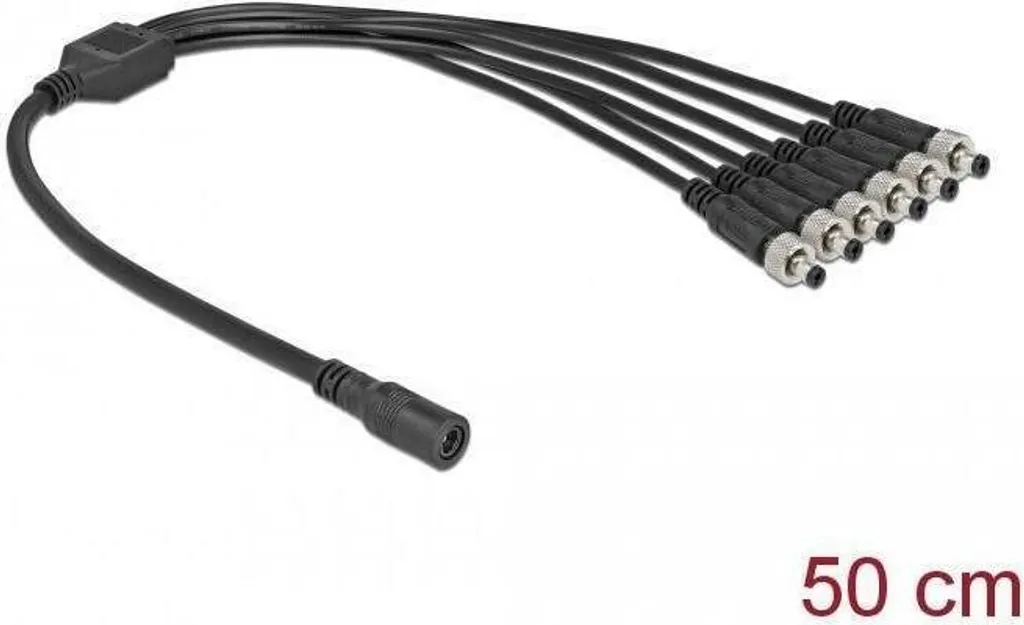 Séparateur de réseau Delock 62621 RJ45 vers deux ports 10/100 Mbps