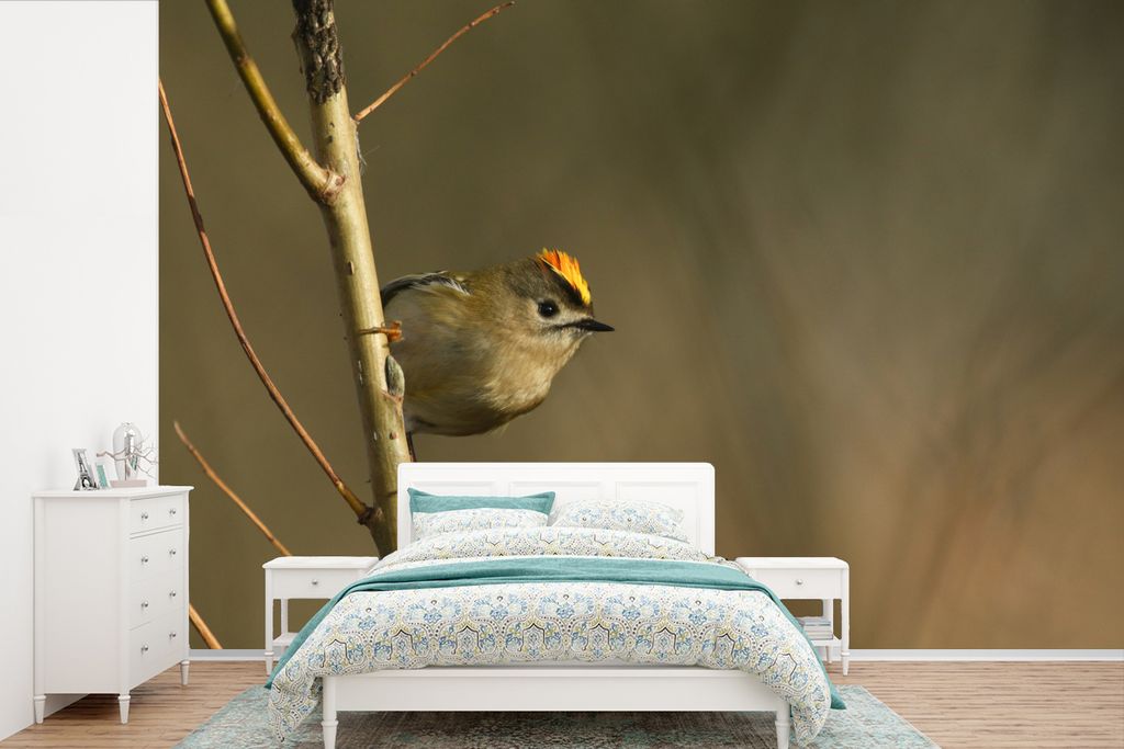 MuchoWow Fototapete für Wohnzimmer oder Schlafzimmer Wandtapete Vinyl Motivtapete Kleines Goldhähnchen allein auf einem Ast im Baum - 600x400 c...