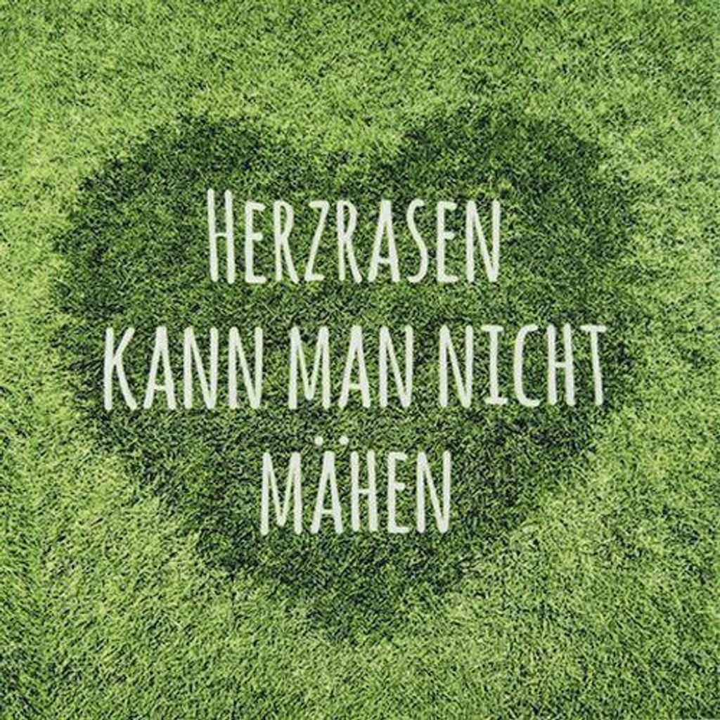 RP 20 Servietten Herzrasen kann man nicht mähen 33x33cm