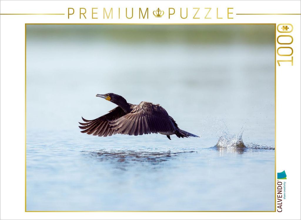 CALVENDO Puzzle Kormoran | 1000 Teile Lege-Größe 64x48cm Foto-Puzzle für glückliche Stunden