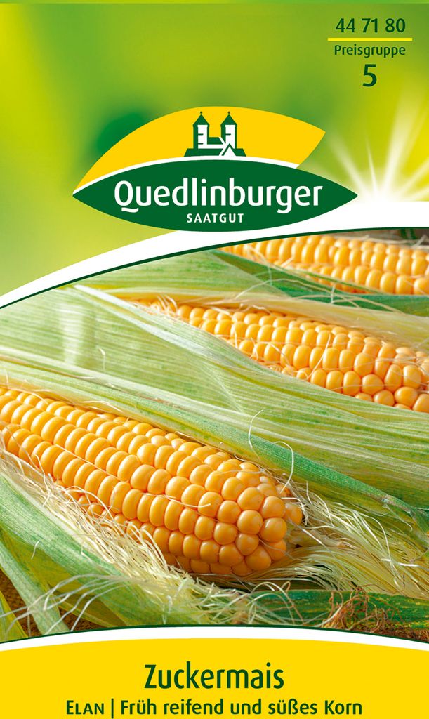 Zuckermais Elan | Zuckermaissamen von Quedlinburger Produktbild 