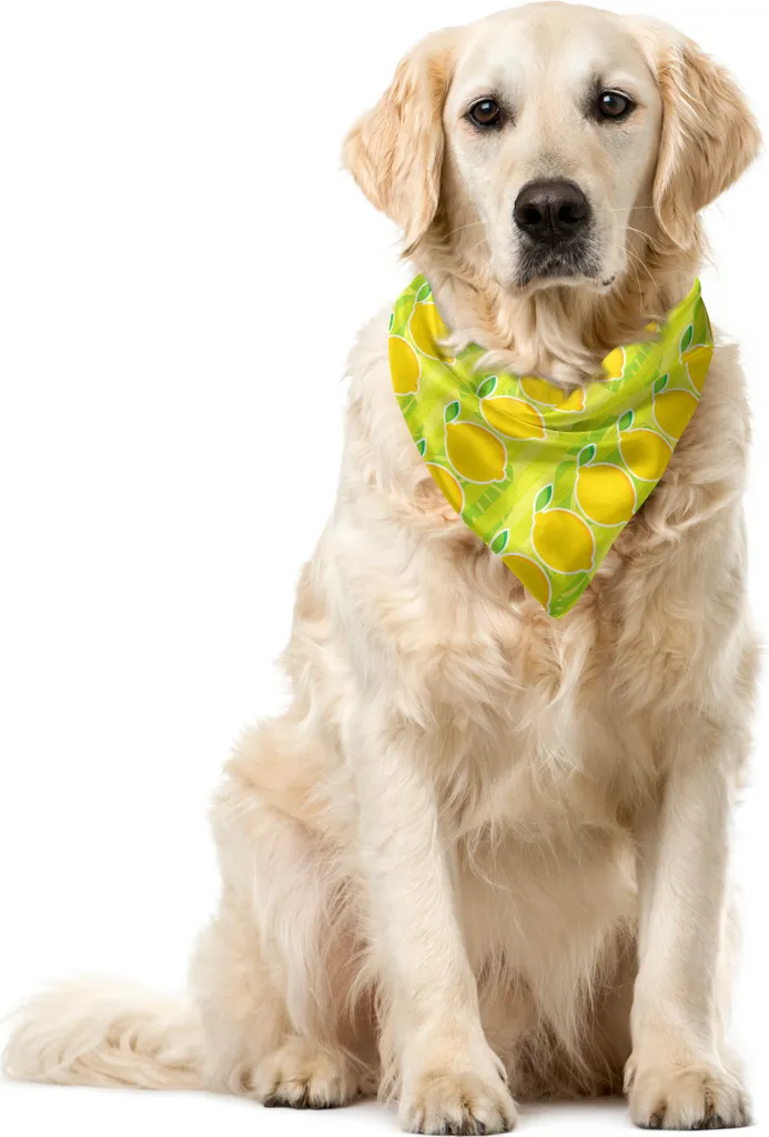 ABAKUHAUS Bandana per animali domestici con motivo limone, foglie di palma graffiate, 40x40 cm, giallo verde lime