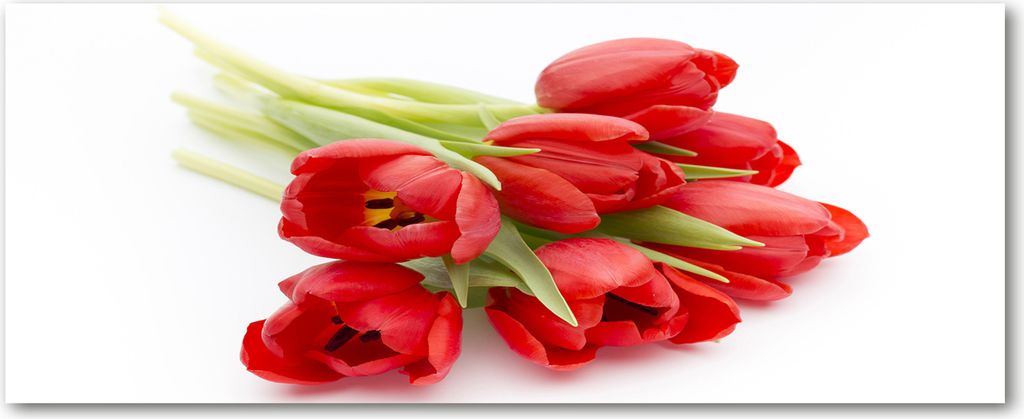 Tulup Leinwandbild - 125x50 cm - Wandkunst - Drucke auf Leinwand - Leinwanddruck - Blumen & Pflanzen - Rot - Rote Tulpen