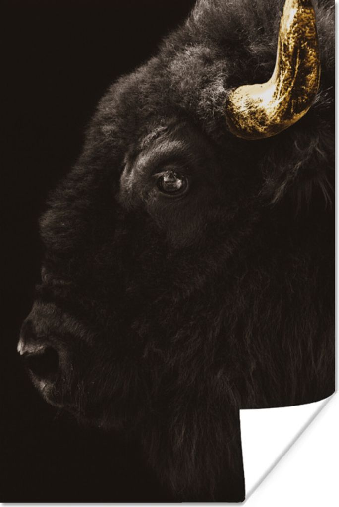 MuchoWow Poster Bison - Schwarz - Gold 20x30 cm - Papierdruck