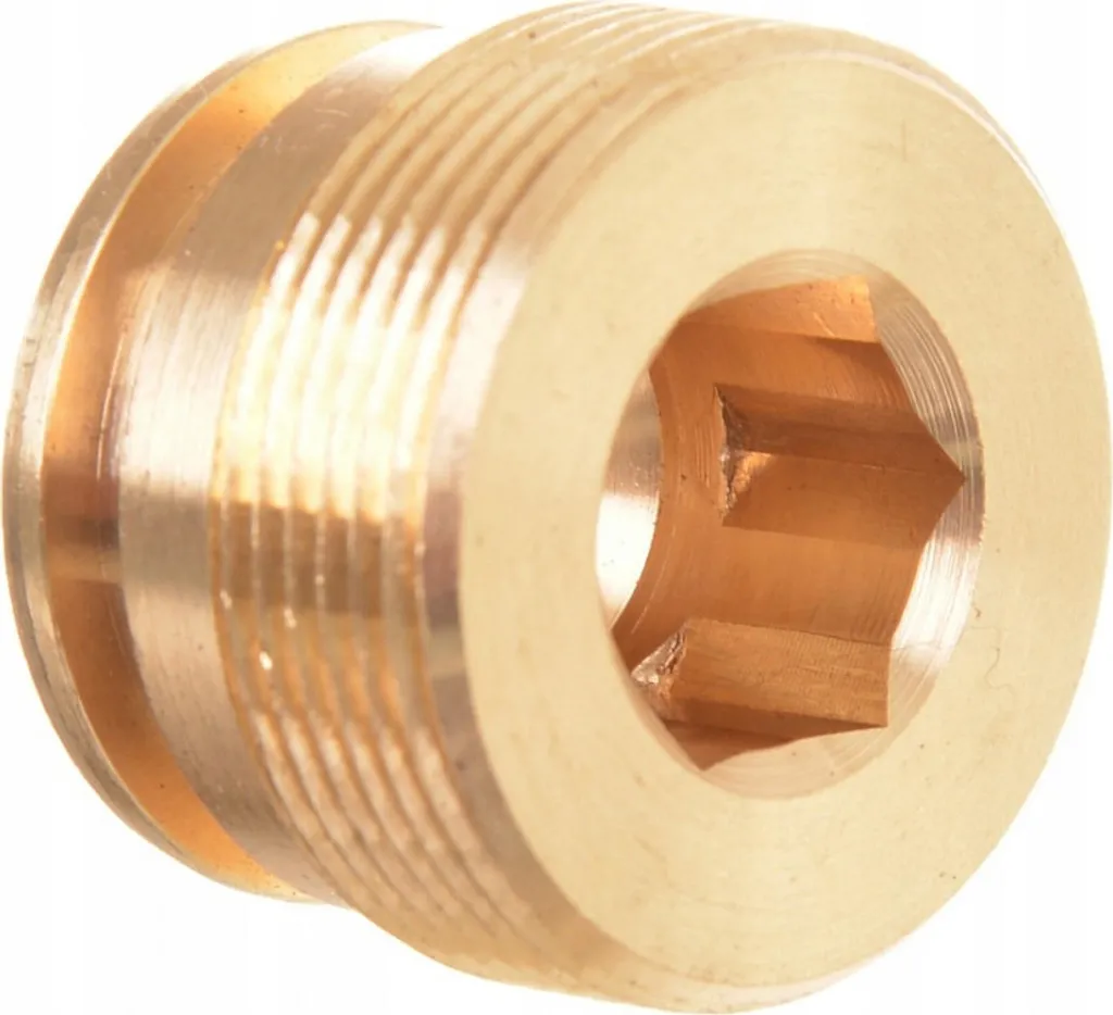 Réparer fuite de soupape Karcher HD 10/21 10/25 : Bouchon 5.411-166.0