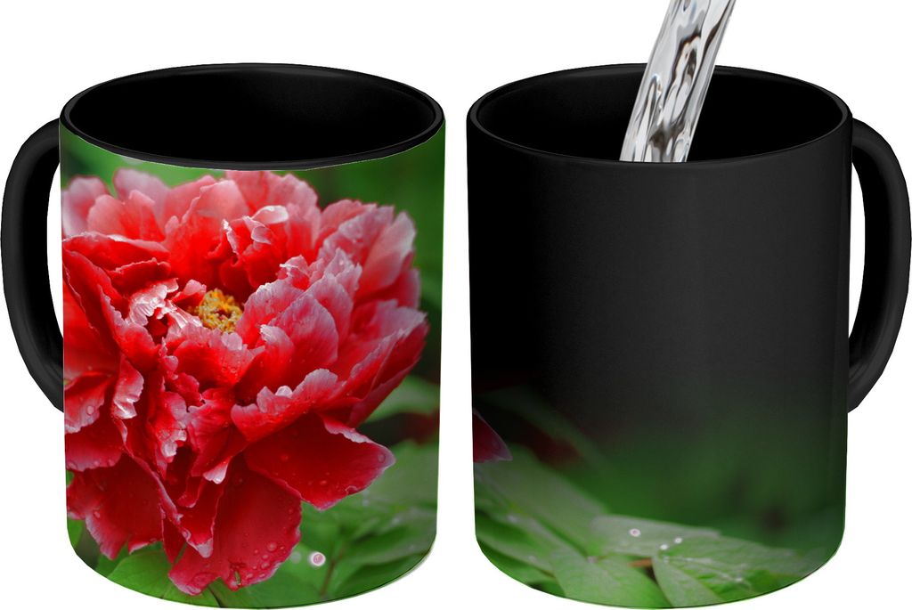 MuchoWow Zauber Tasse Zaubertasse Magic Eine rote Pfingstrose im Frühling 350 ml Farbwechsel Becher Geschenk Geschenkidee - Magic-Tasse - Fotota...