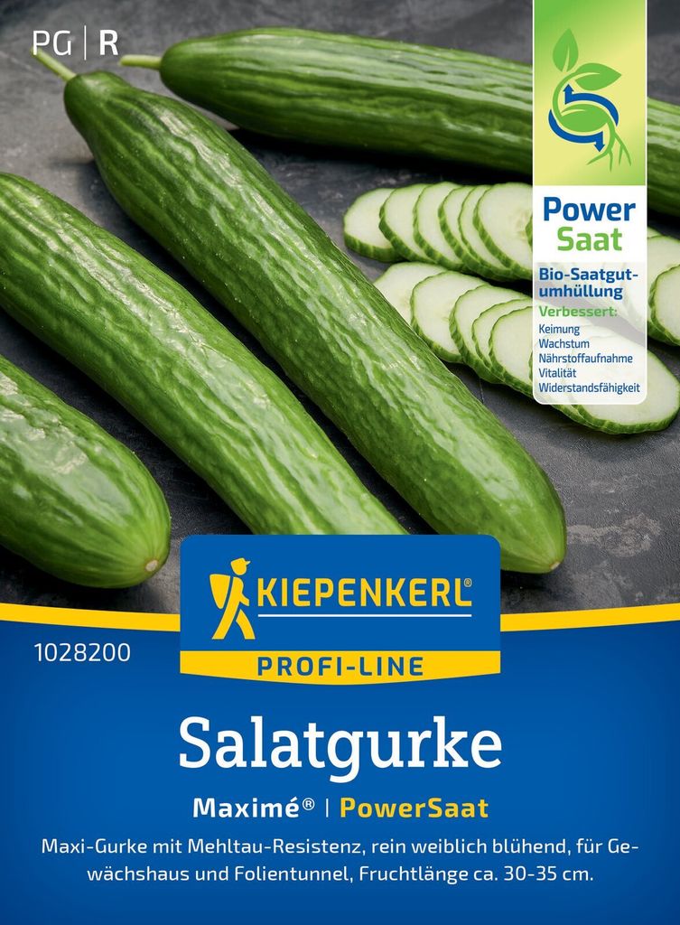 Kiepenkerl Salatgurkensamen Maximé F1 Cucumis sativus 5 Pflanzen