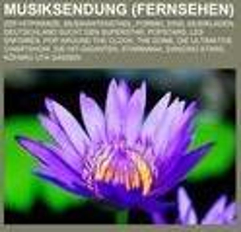 Musiksendung (Fernsehen)
