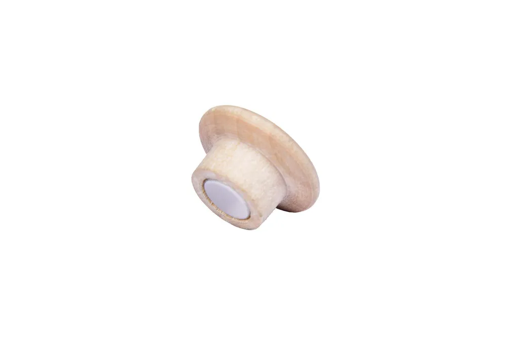 Legamaster 7-181725 WOODEN Magnet 25mm 5 Stück