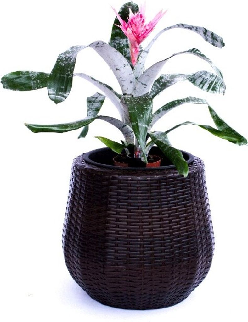 Elegant Einrichten | Pflanzkübel | Polyrattan | rund konisch | D52xH44cm | coffee braun.