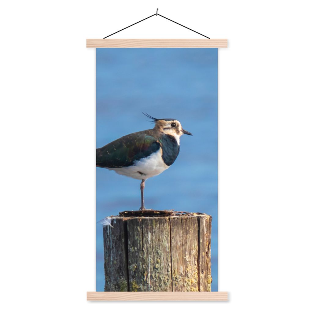 MuchoWow Textilposter Vogel - Tiere - Pfahl - Blau - Kiebitz 60x120 cm mit holzfarbenen Rahmen - Holz
