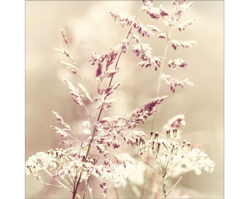 Glasbild Cabbage III 20x20 cm GLA1278 | Kaufland.de