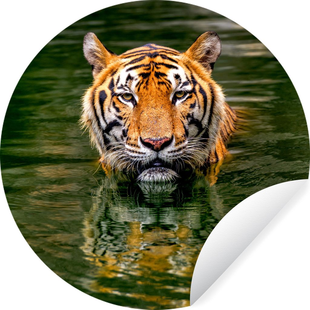 MuchoWow Runde Wandtattoo - Wandsticker Tapete Aufkleber Tiger im Wasser Ø 30 cm Selbstklebend und Repositionierbar - Wandaufkleber - Kreis - Wa...