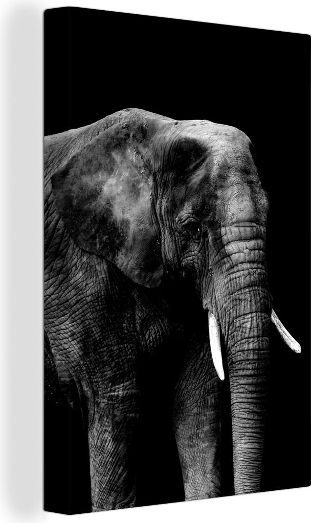 OneMillionCanvasses - Leinwandbilder - 90x140 cm, Elefant auf schwarzem Hintergrund - schwarz und weiß, Wandbilder Kunstdruck Wanddekoration - W...
