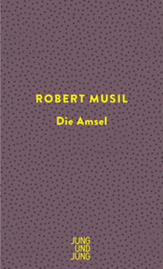 Die Amsel