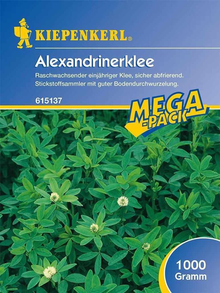 Alexandrinerklee (1 kg) | Gründünger von Kiepenkerl