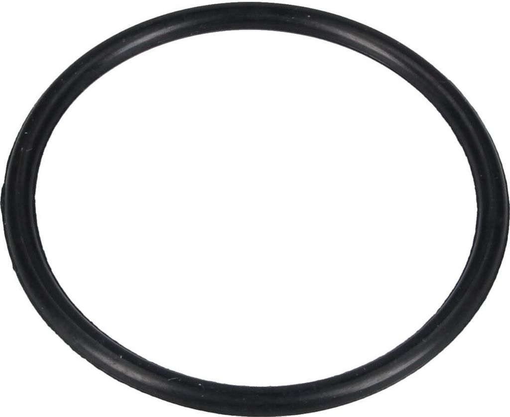Dichtring O-Ring 76mmØ für Salzbehälter beko 1766470100 in Geschirrspüler