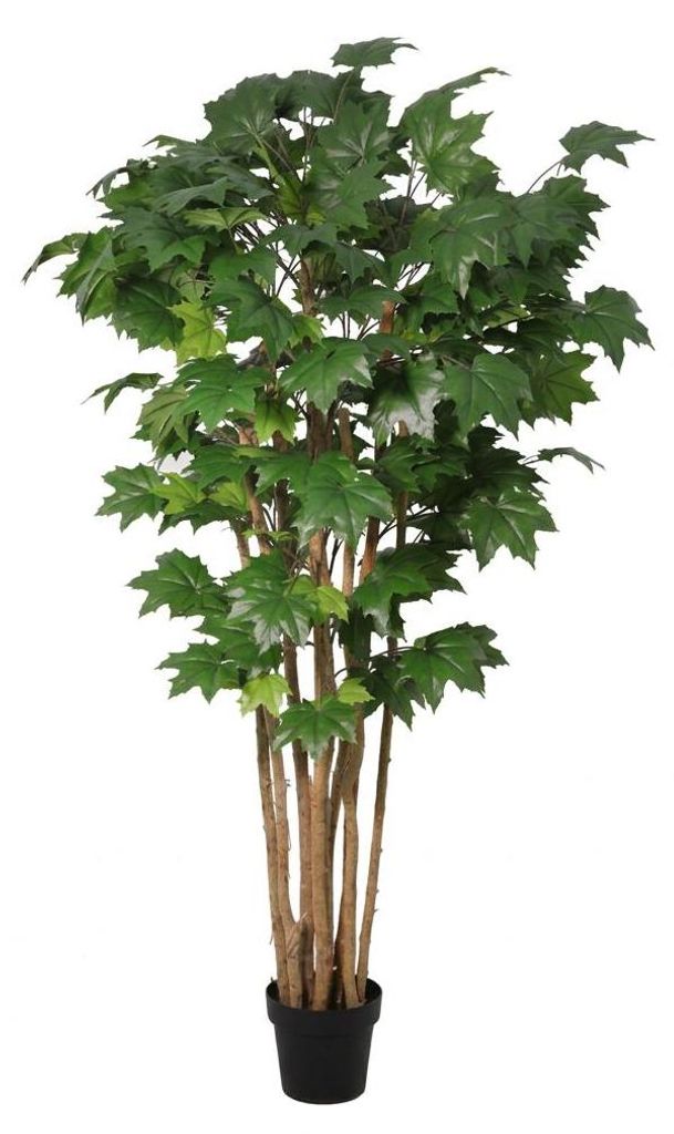 Künstlicher Ahornbaum 180cm im Topf realistische Maple Kunstpflanze Keramiktopf