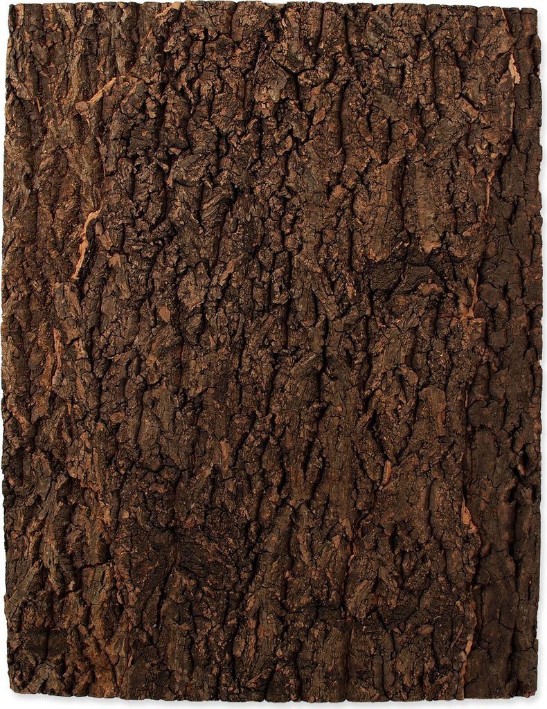 Repti Planet 007-54034, Holz, 1 Stück(e), 435 mm, 20 mm, 560 mm