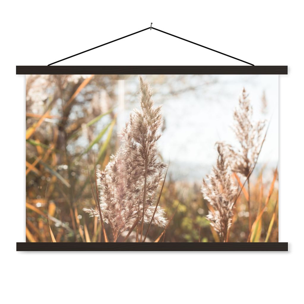 MuchoWow Textilposter Schilf - Sonne - Pflanze 60x40 cm mit schwarzem Rahmen - Hölzernes