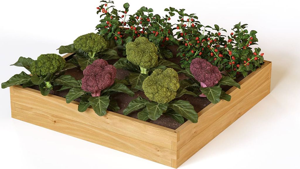 holz4home Hochbeet Quadratisch 110x110x24 cm I Aus Kieferholz I Fassungsvermögen: ca. 280L I Pflanzkasten Frühbeet Gemüsebeet